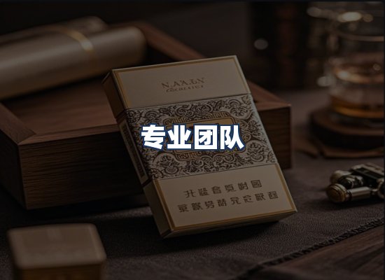 专业团队